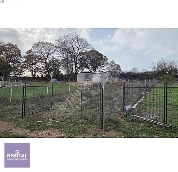 Kestel Ümitalanda Satılık Tarla (hobi Bahçesi) - Görsel 3