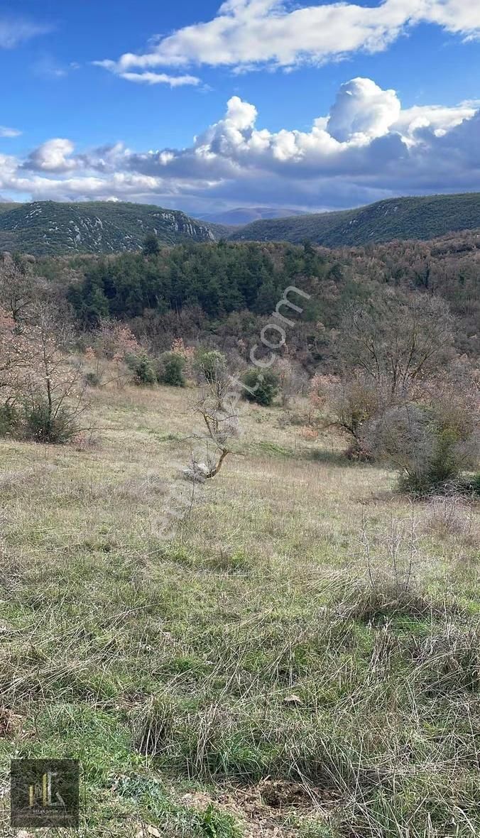 Kayapa Zafer'de Satılık 243m² Arazi! - Görsel 6