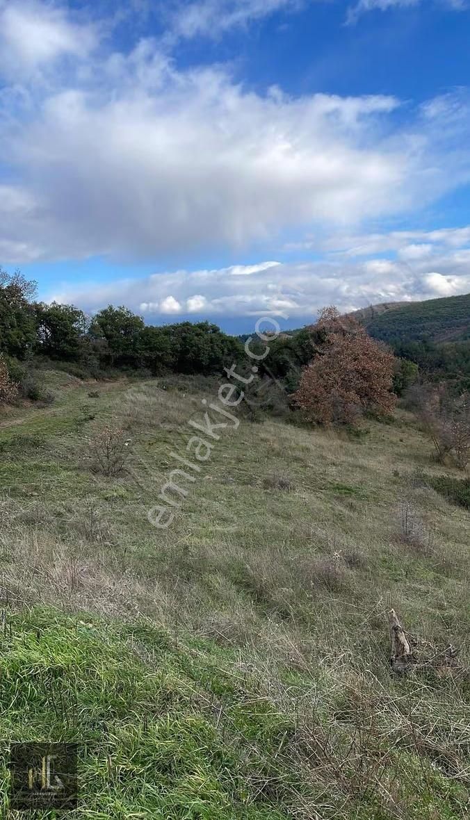 Kayapa Zafer'de Satılık 243m² Arazi!