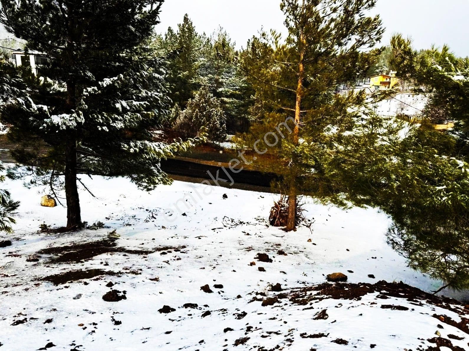 Kar Emlaktan Alpu Yaylasında 500 M2 Satılık Arsa - Görsel 6