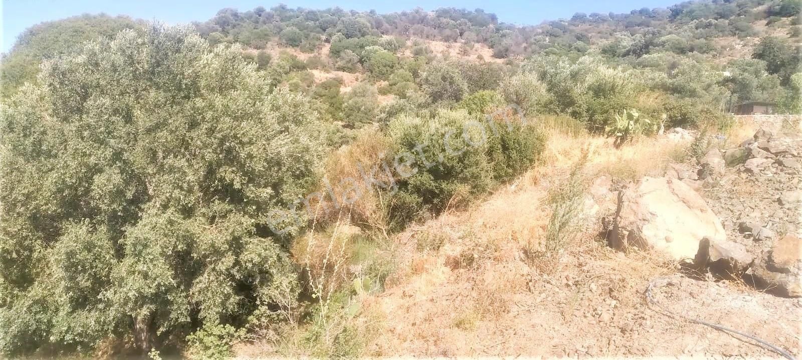 T.reis Yalı Deniz Manzaralı Satılık İmarlı Arsa - Görsel 5