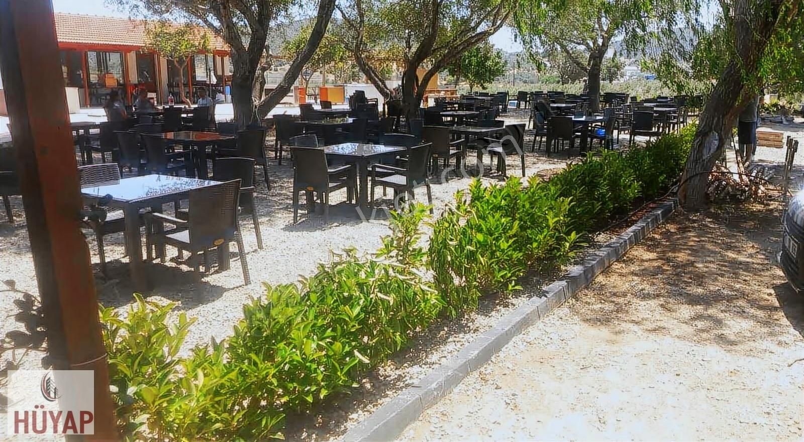 Çanakkale Akçapınar Köyünde Satılık İşletme - Görsel 2