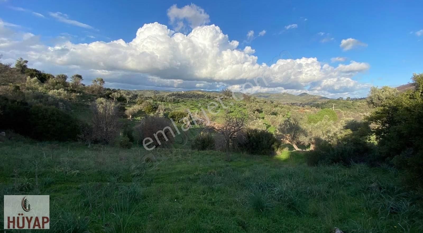 İzmir Seferıhısarda Satılık Tarla - Görsel 8