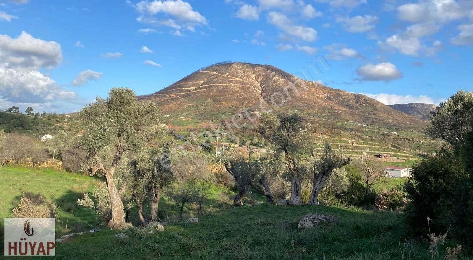 İzmir Seferıhısarda Satılık Tarla - Görsel 13