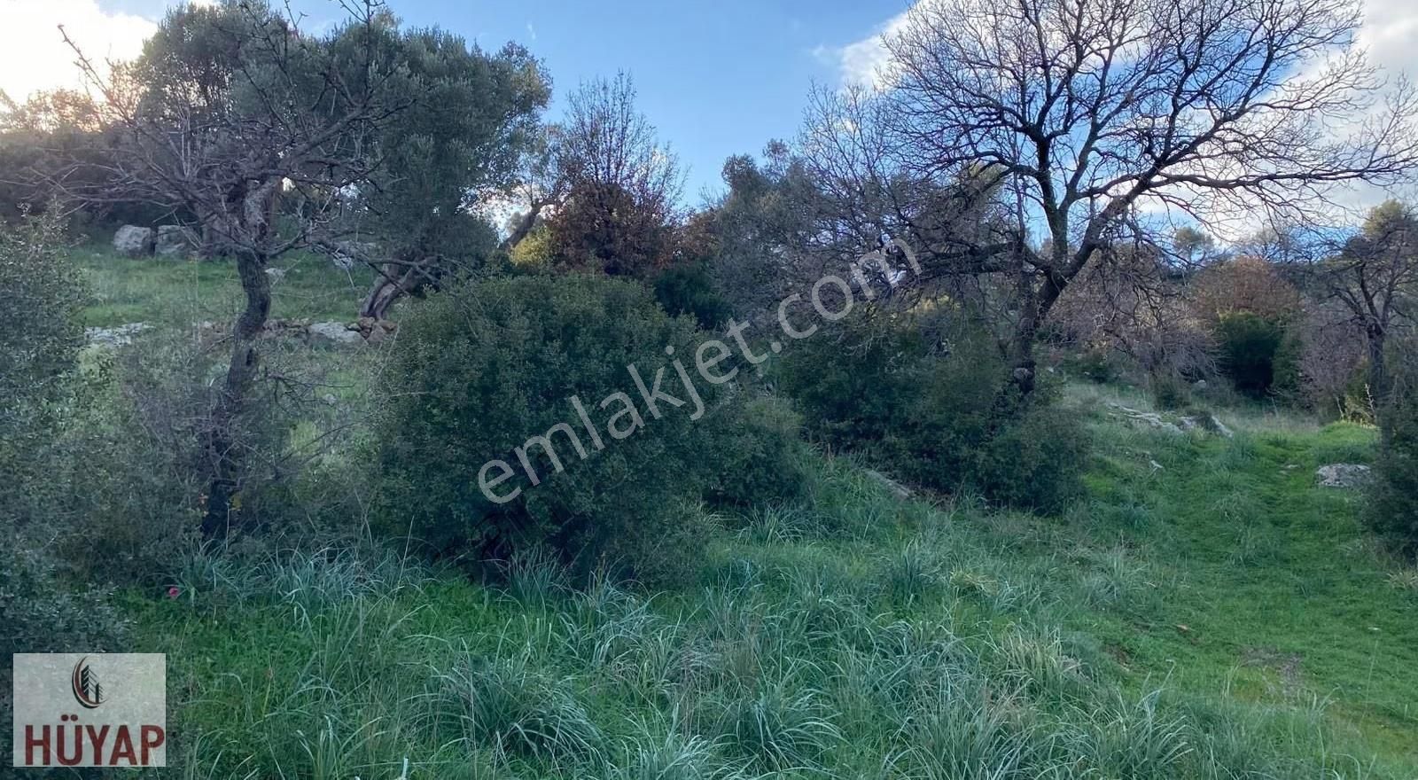 İzmir Seferıhısarda Satılık Tarla