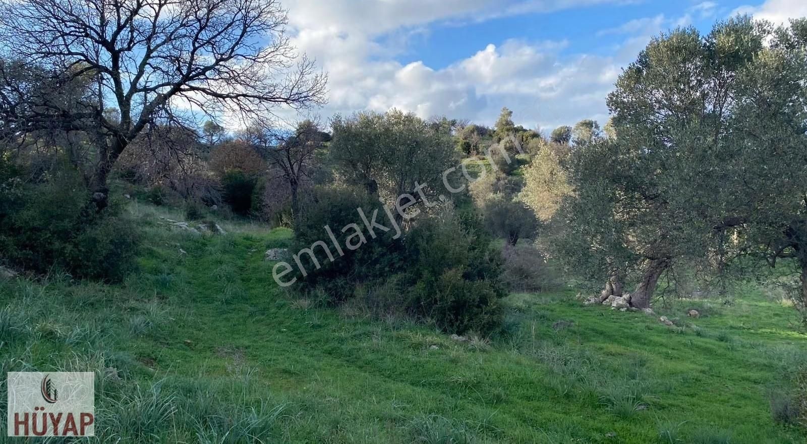 İzmir Seferıhısarda Satılık Tarla - Görsel 5