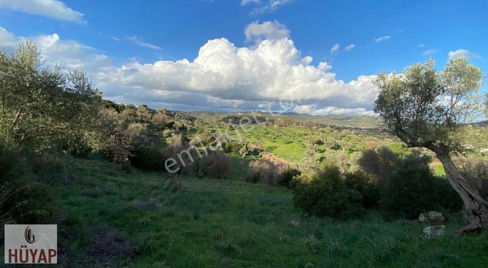 İzmir Seferıhısarda Satılık Tarla - Görsel 6