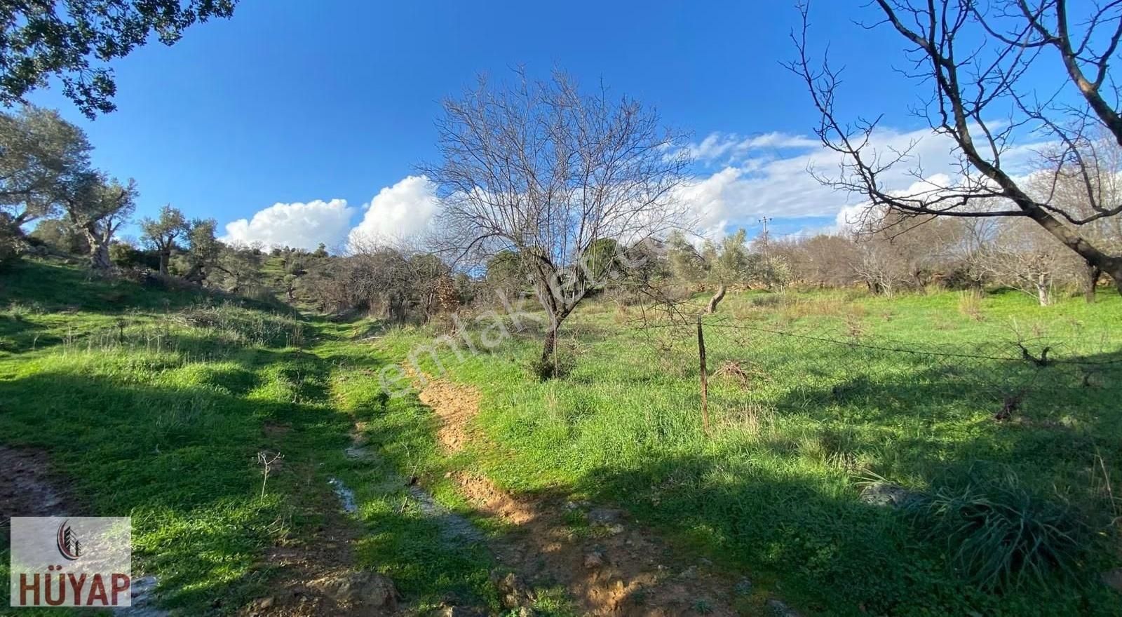 İzmir Seferıhısarda Satılık Tarla - Görsel 2