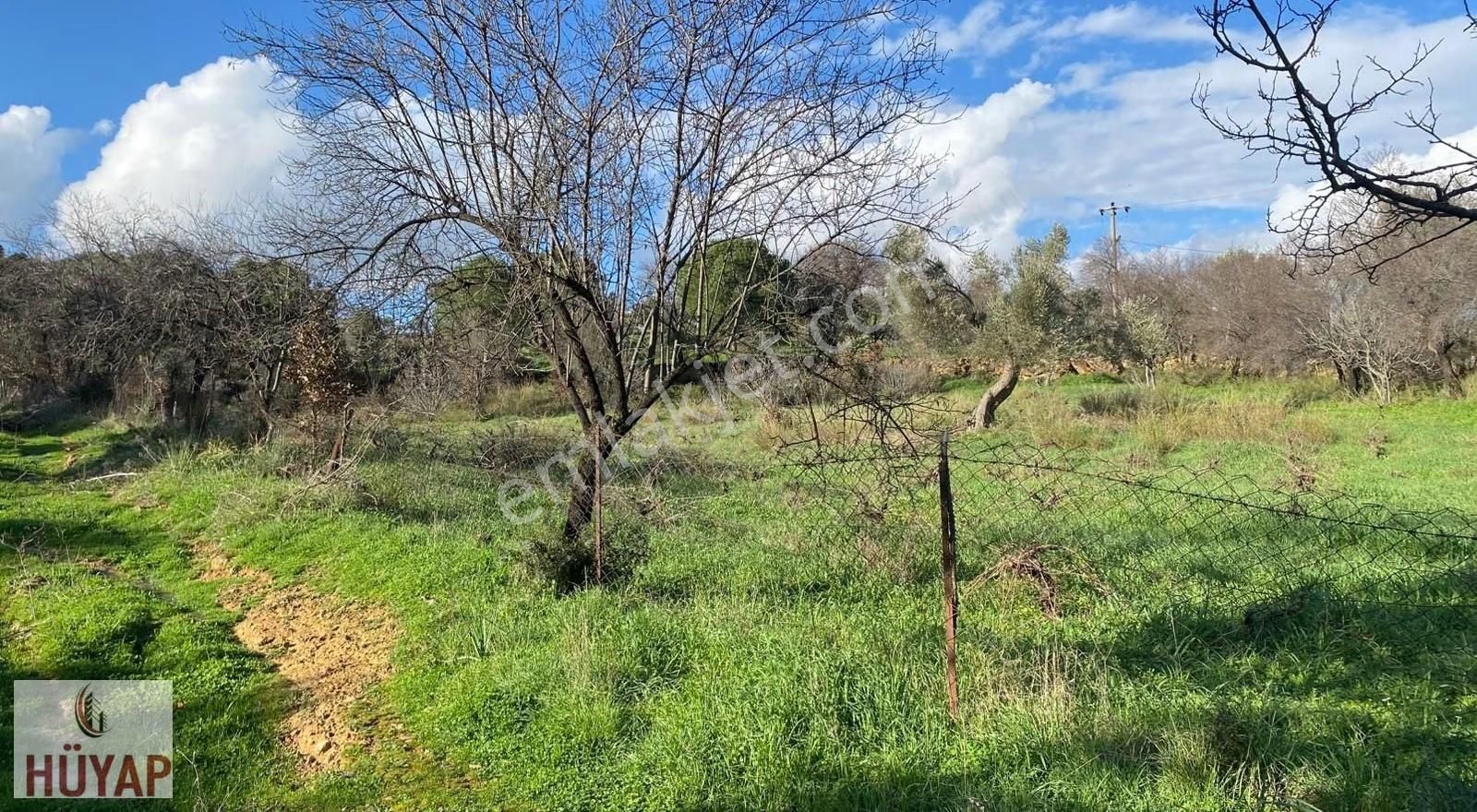 İzmir Seferıhısarda Satılık Tarla - Görsel 3