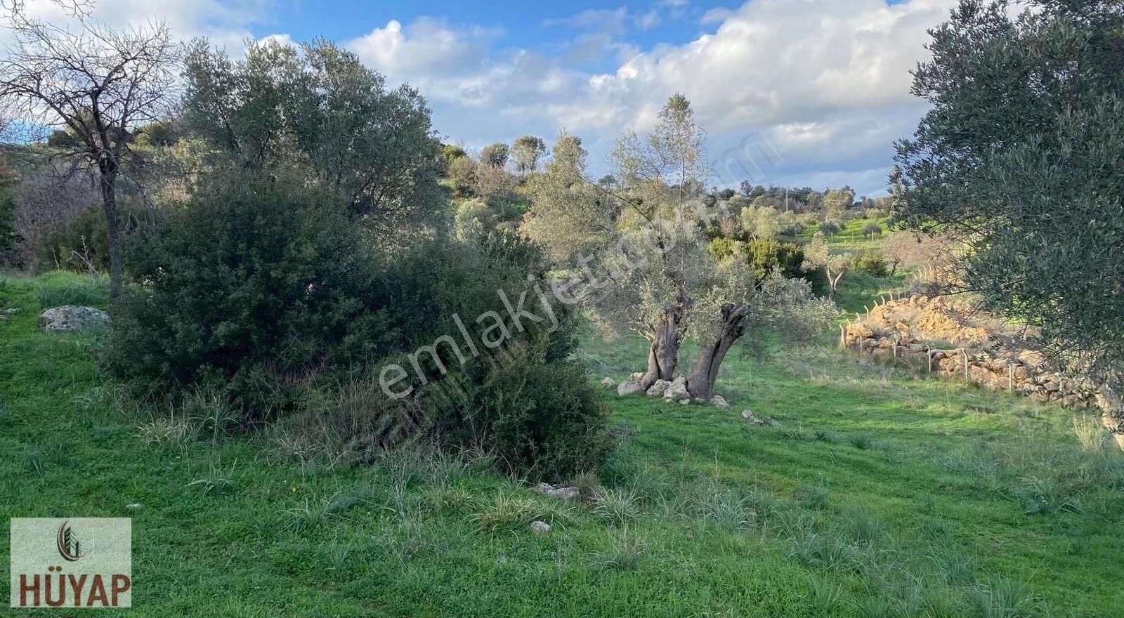 İzmir Seferıhısarda Satılık Tarla - Görsel 9