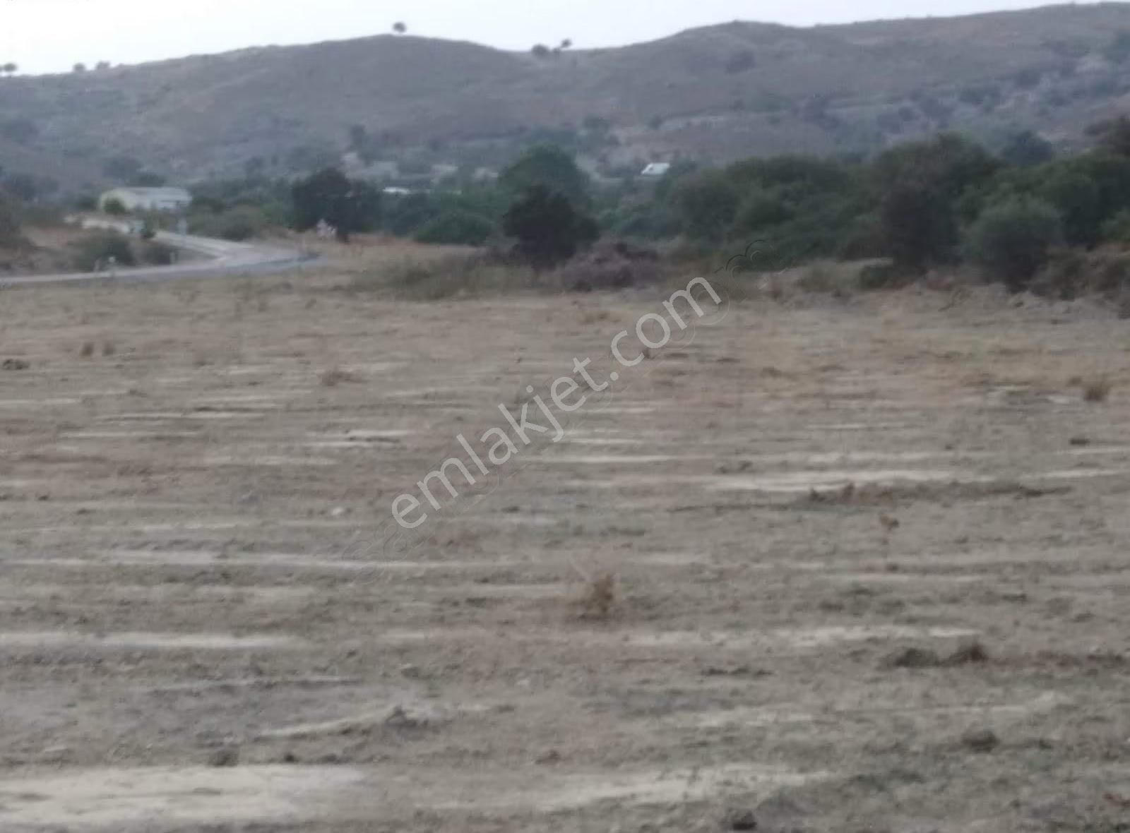 İzmir Seferihisar Kavaklıdere De Satılık 12. 508.120m2 Bağ - Görsel 4