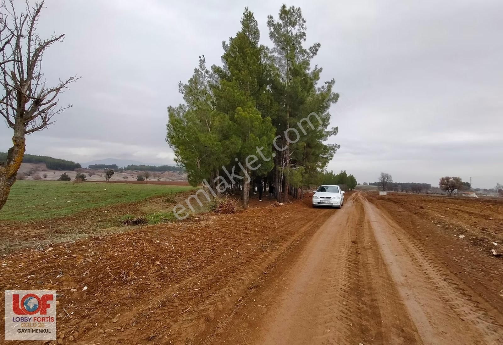 Lobby Fortis'ten Acıpayam Akalan'da Satılık 2.943 M2 Tarla - Görsel 3