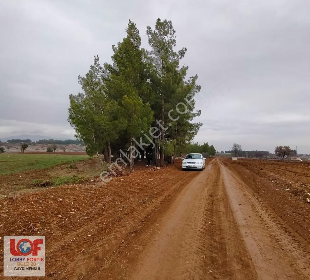 Lobby Fortis'ten Acıpayam Akalan'da Satılık 2.943 M2 Tarla - Görsel 6