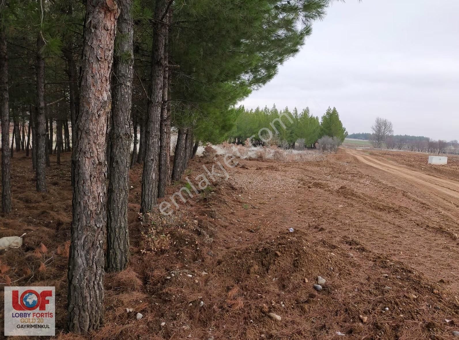 Lobby Fortis'ten Acıpayam Akalan'da Satılık 2.943 M2 Tarla - Görsel 4