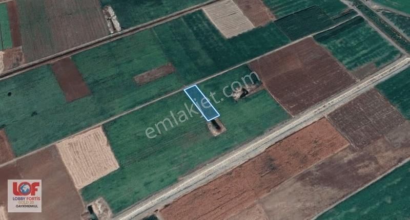 Lobby Fortis'ten Acıpayam Akalan'da Satılık 2700 M2 Tarla - Görsel 4