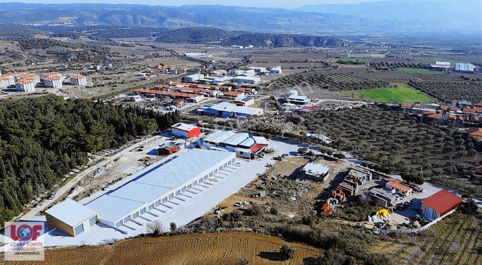 Lobby Fortis'ten Buldan'da Satılık Modern Sanayi Dükkanları - Görsel 6