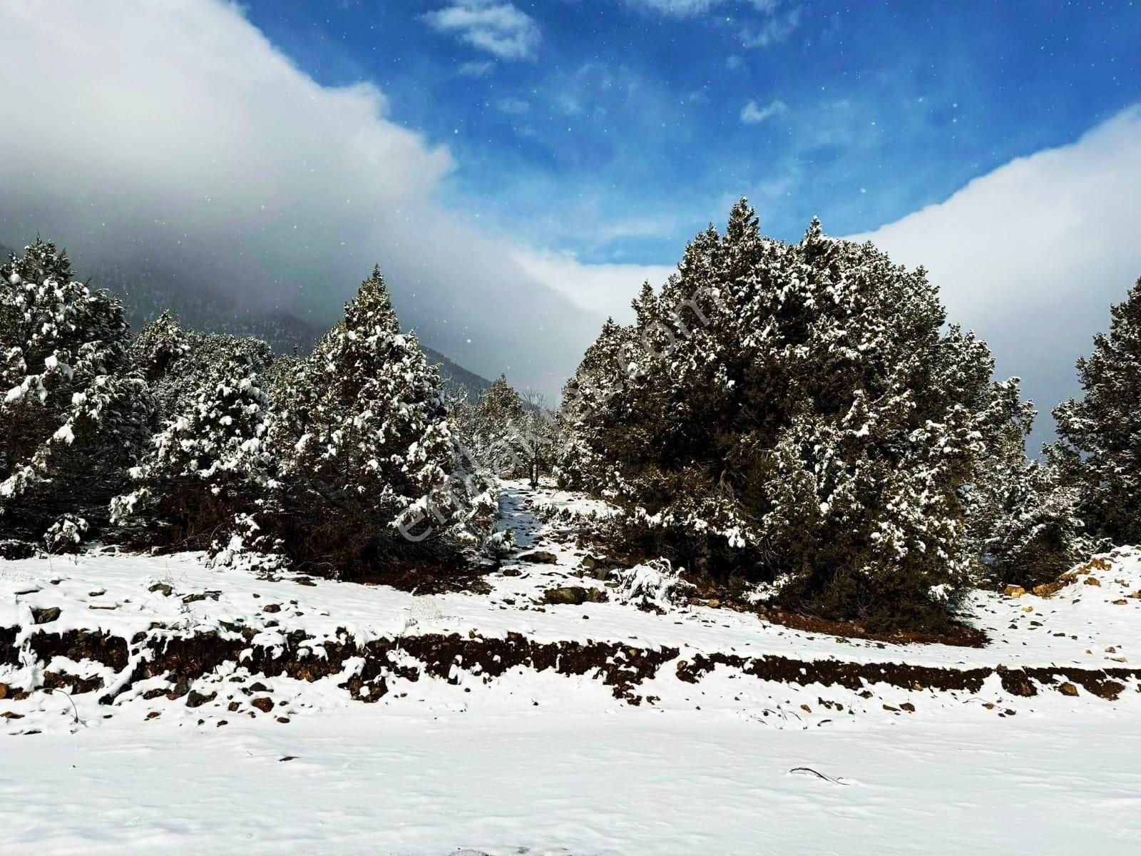 Kar Emlaktan Alpu Yaylasında Yüksek Konumlu 400 M2 Satılık Arsa - Görsel 11