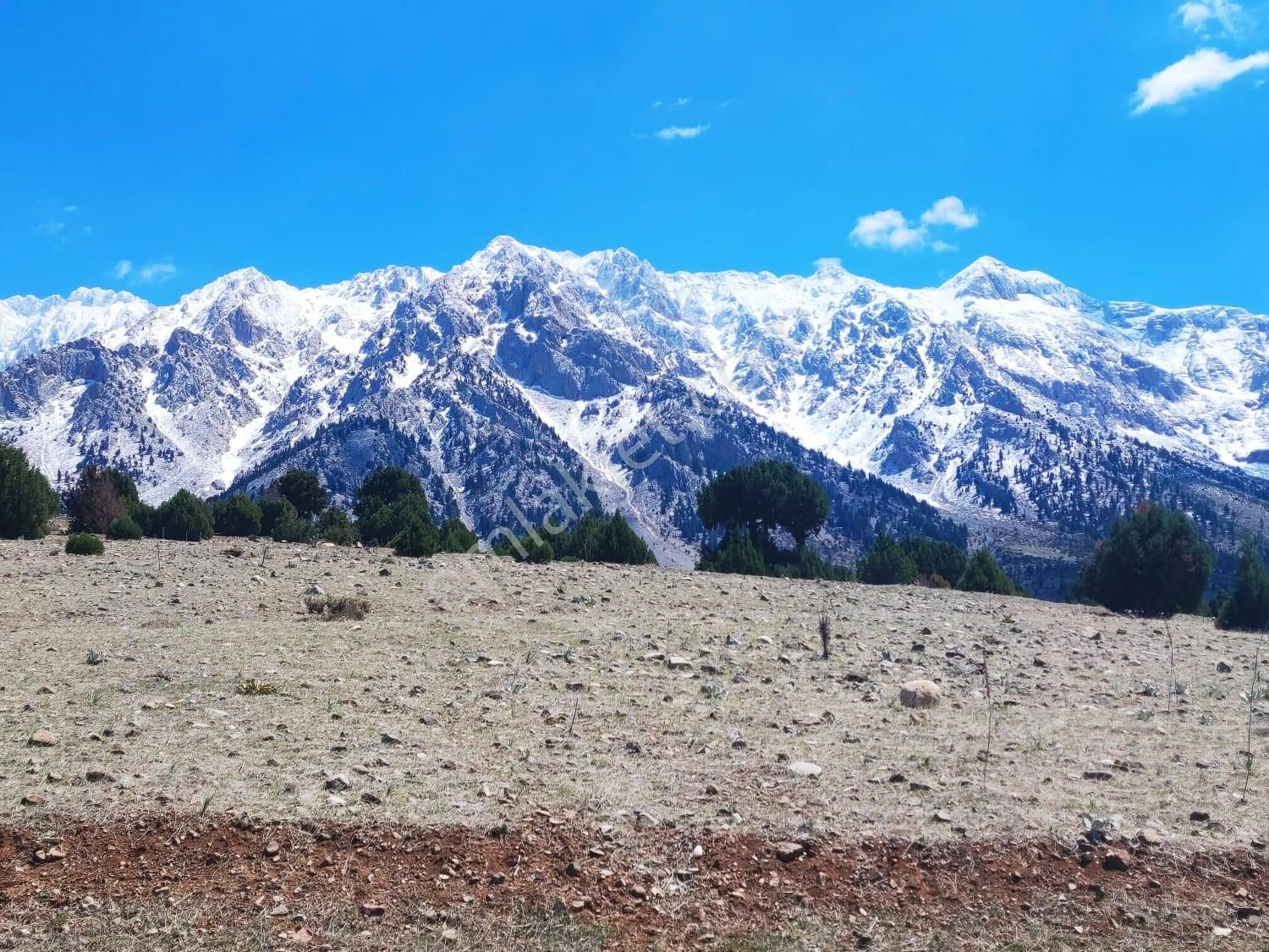 Kar Emlaktan Aşçıbekirli Fenese Mevkiinde 400 M2 Satılık Arsa