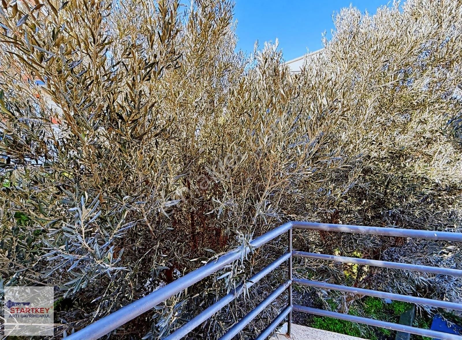 Çeşme Çiftlikte 4+1 Satılık Tripleks Villa - Görsel 29