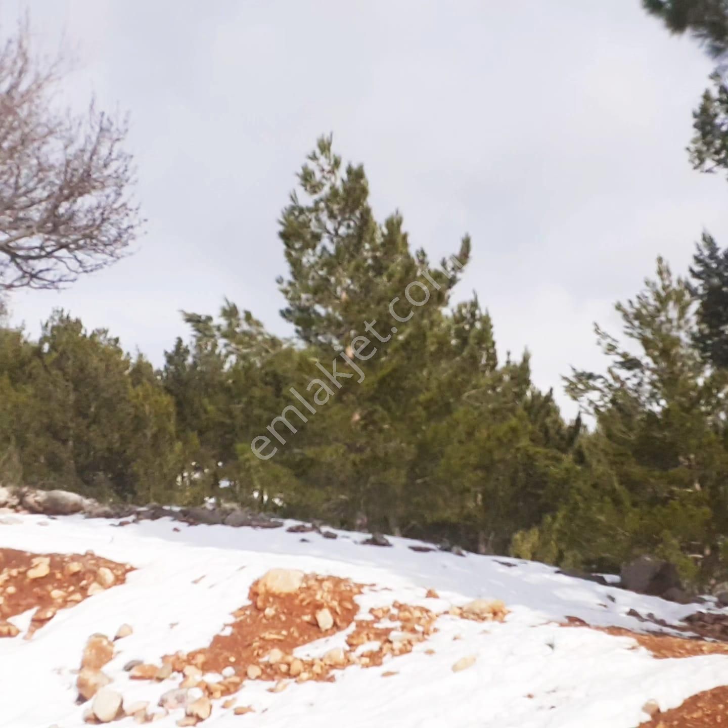 Kar Emlaktan Yeni Konacık Efes Sitesi Yanı 400 M2 Satılık Arsa - Görsel 29