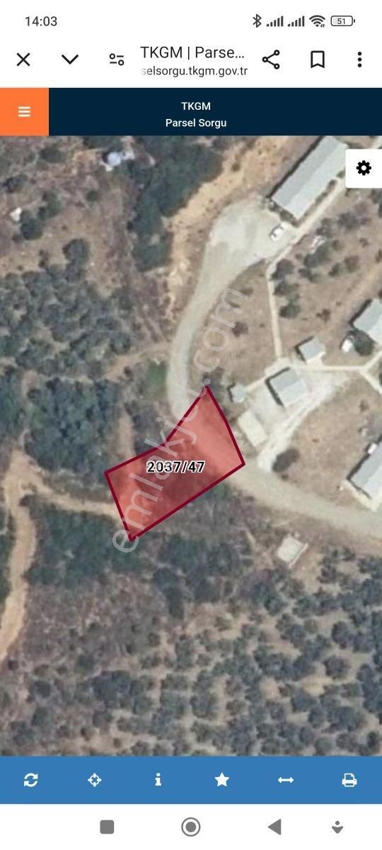 Yakamoz Emlak'tan Büyük Kumla'da Satılık 492 M2 Zeytinlik - Görsel 7