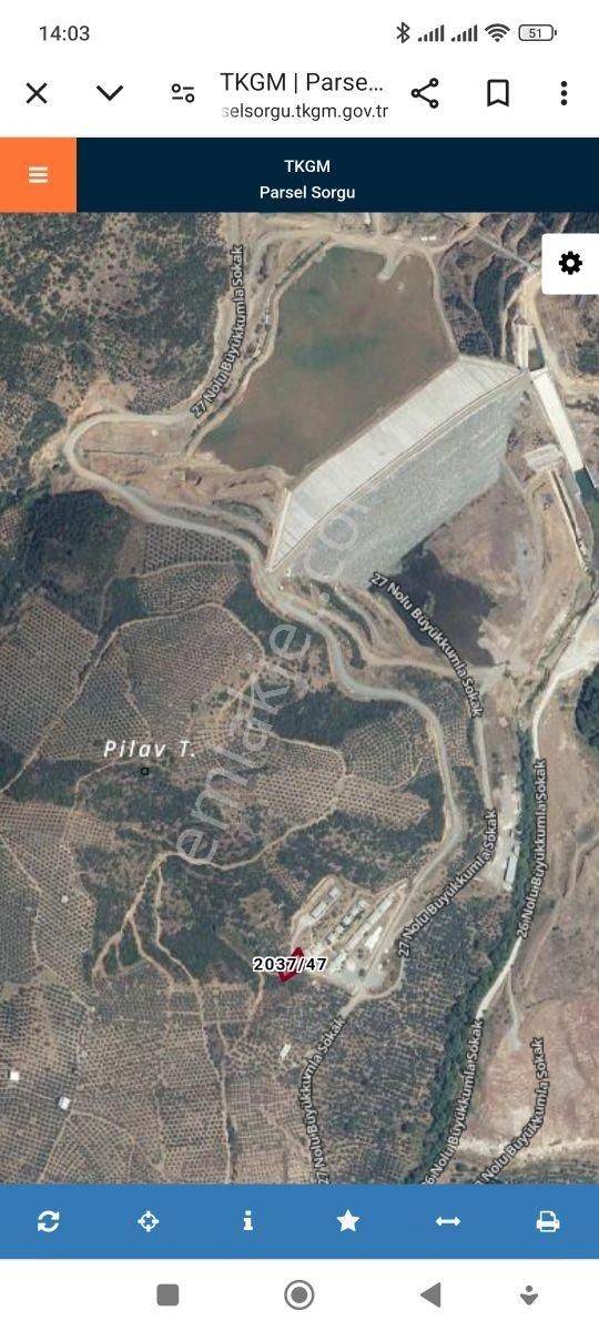 Yakamoz Emlak'tan Büyük Kumla'da Satılık 492 M2 Zeytinlik - Görsel 5