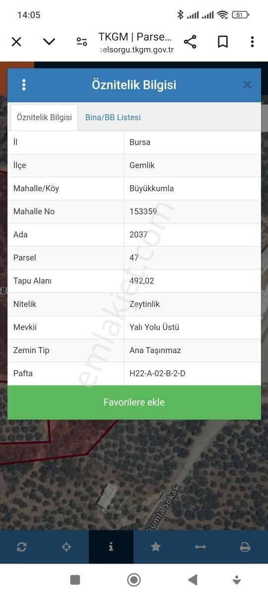 Yakamoz Emlak'tan Büyük Kumla'da Satılık 492 M2 Zeytinlik