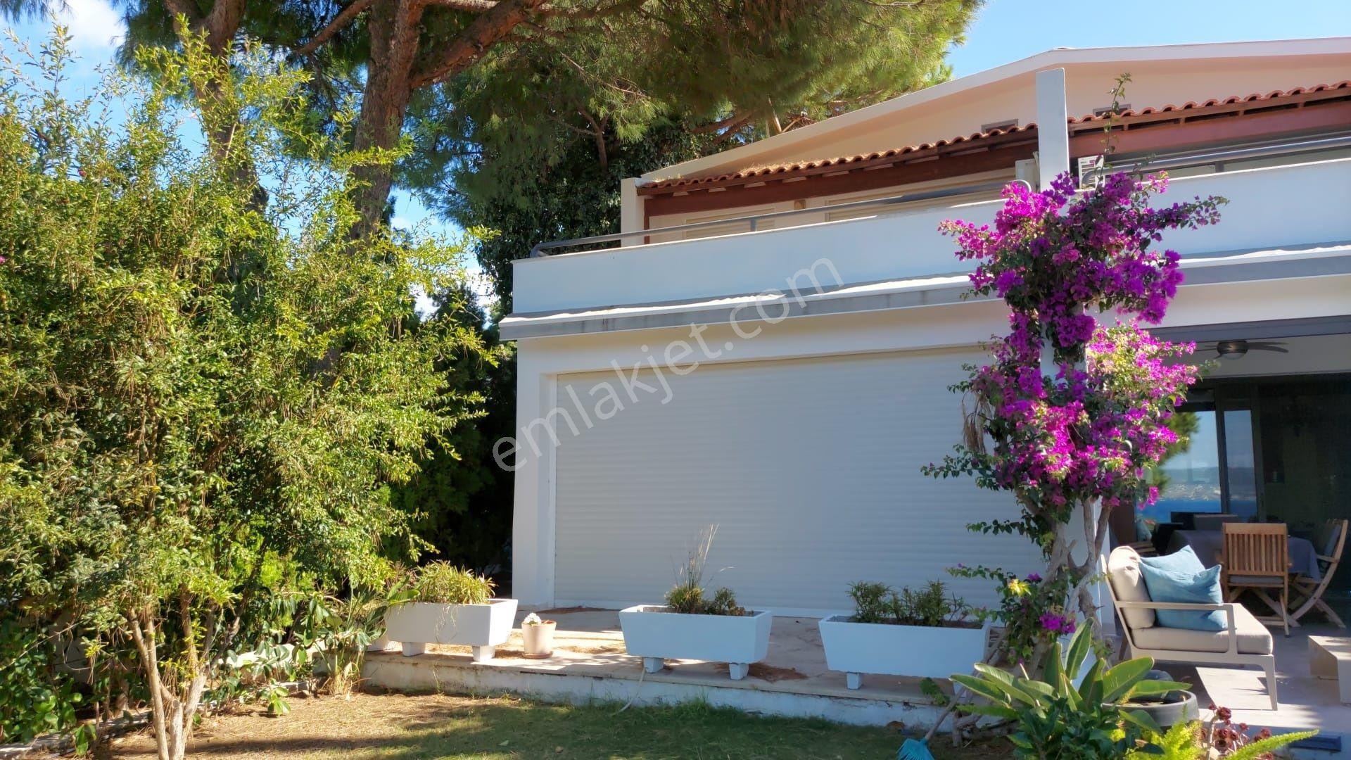 Ardıç Denize Sıfır Özel Plajlı Sitede Denize Sıfır Köşe Villa - Görsel 13