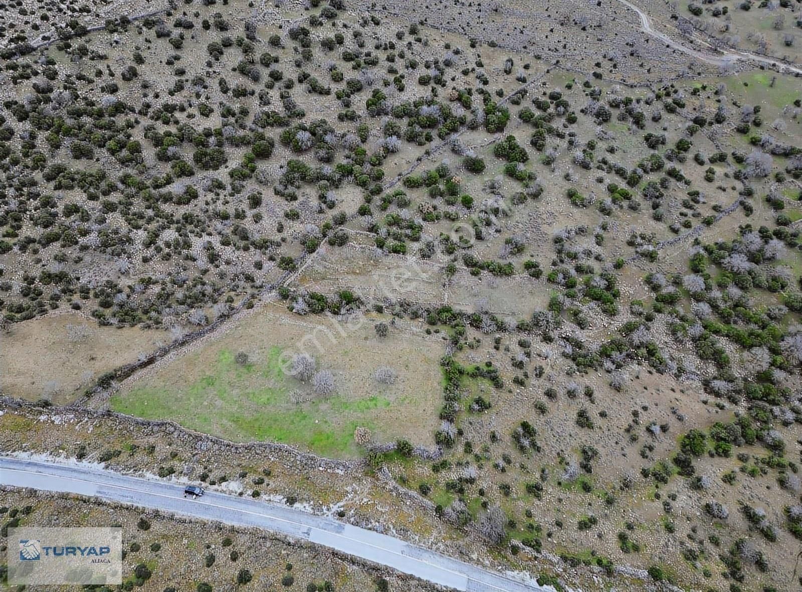 Aliağa Kapukayada Satılık 15523 M2 Koruluk - Görsel 5