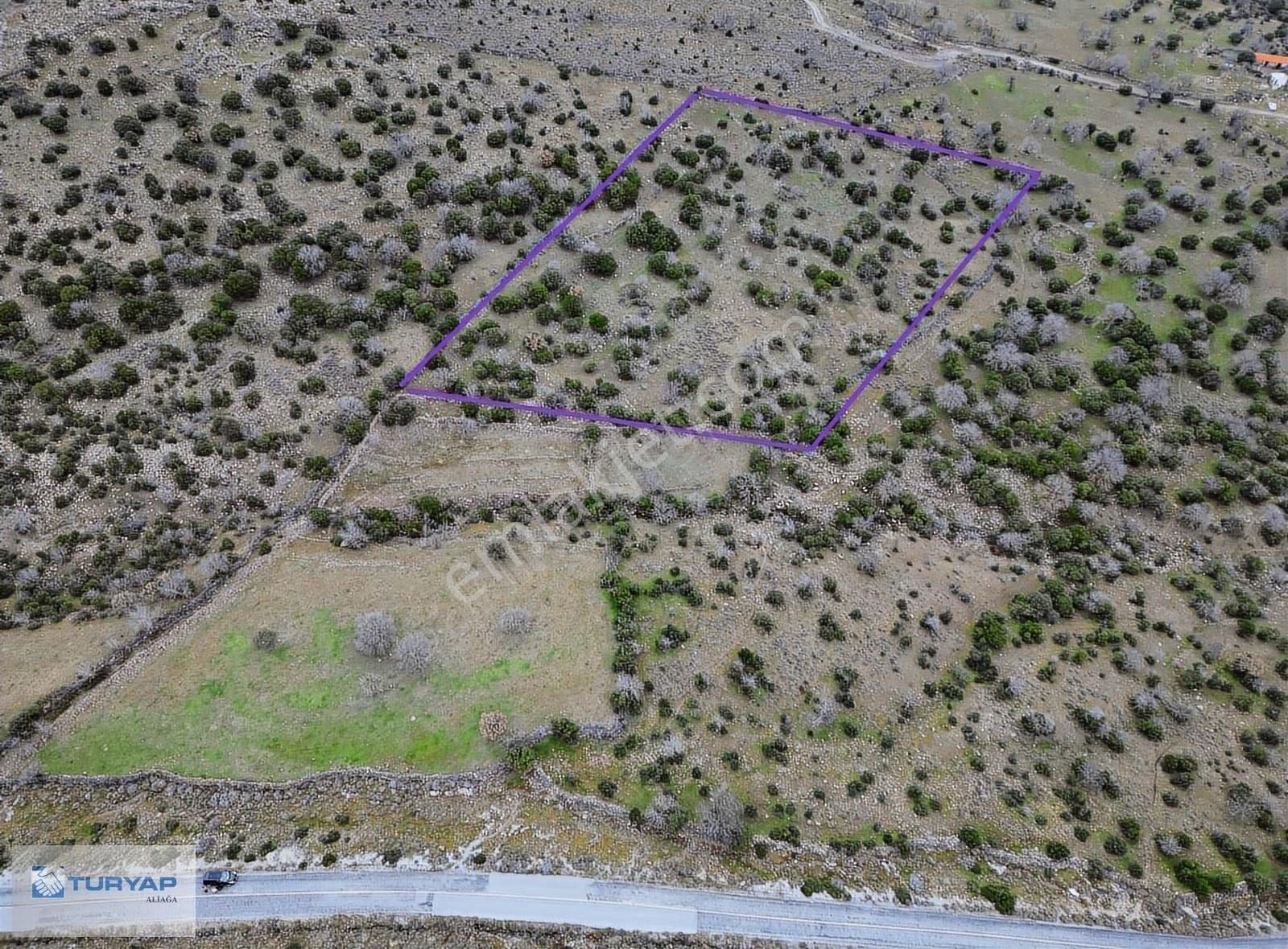 Aliağa Kapukayada Satılık 15523 M2 Koruluk - Görsel 2