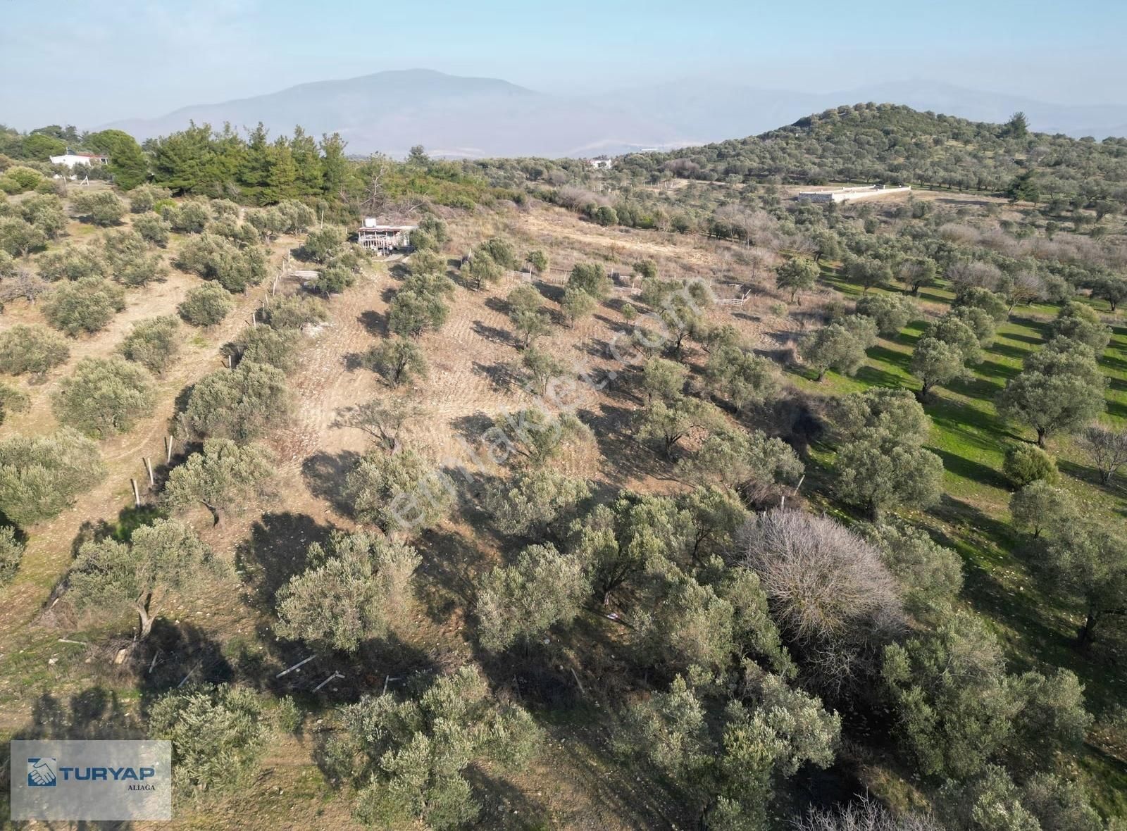 Yahyalarda 6000 M2 Fırsat Tarla