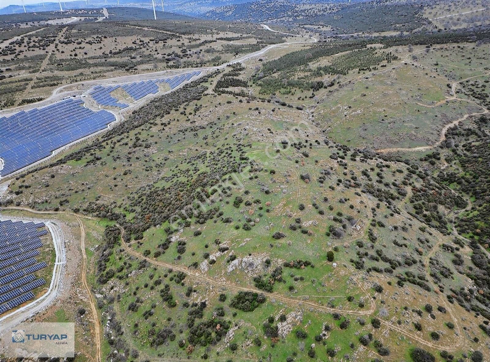 Bergama Örlemişte Res Ve Ges Projesine Uygun Tarla