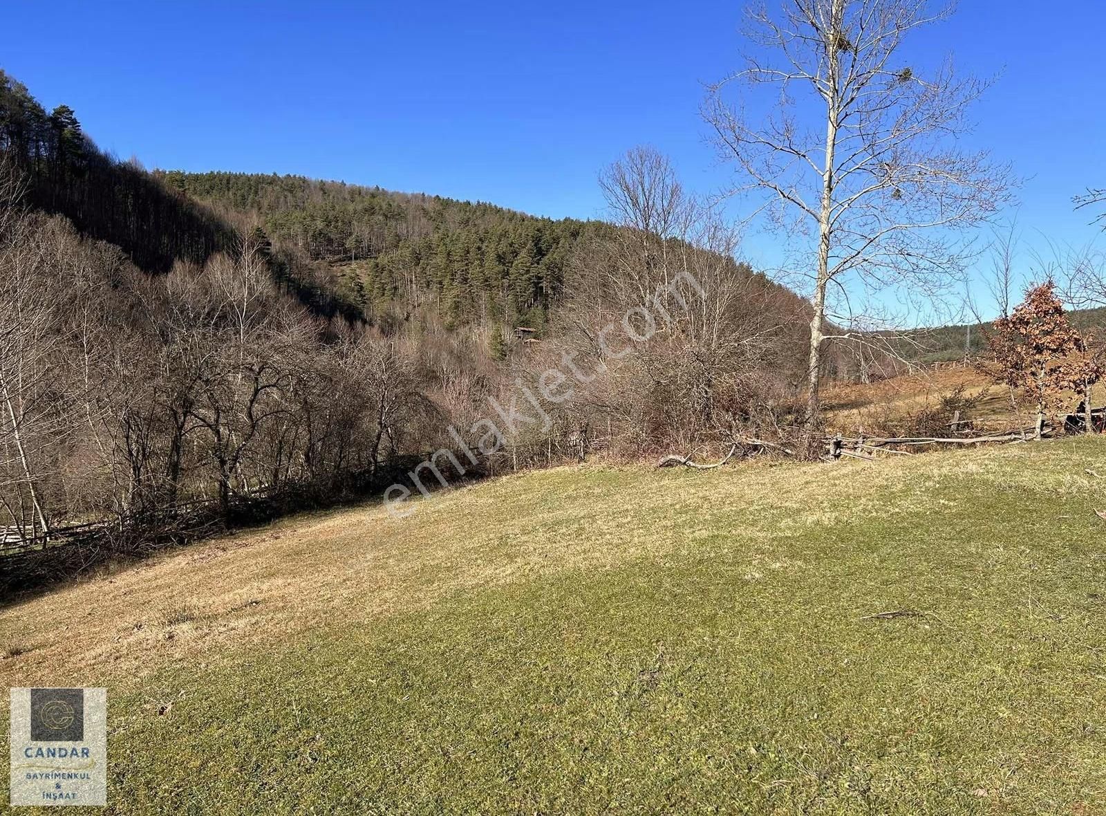 Bursa İznik Elmalı Mahallesinde Resmi Konut İmarlı Arsa - Görsel 3