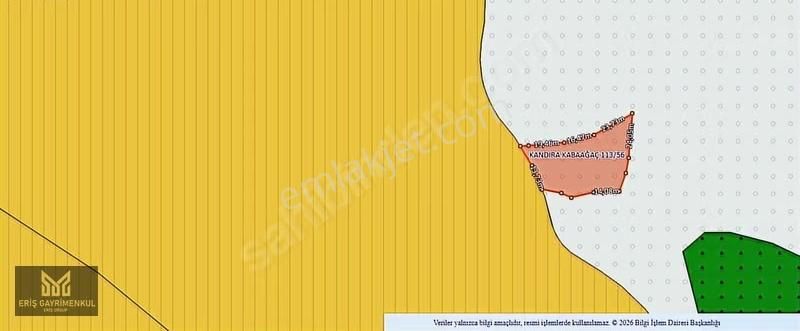 Kandıra Kabaağaç Köyünde 1580 M2 % 5 İmarlı Yollu Tarla