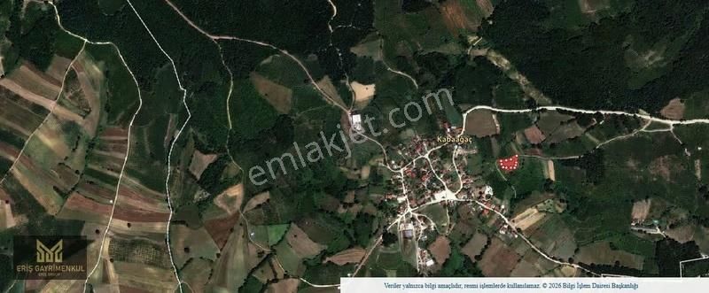 Kandıra Kabaağaç Köyünde 1580 M2 % 5 İmarlı Yollu Tarla - Görsel 3