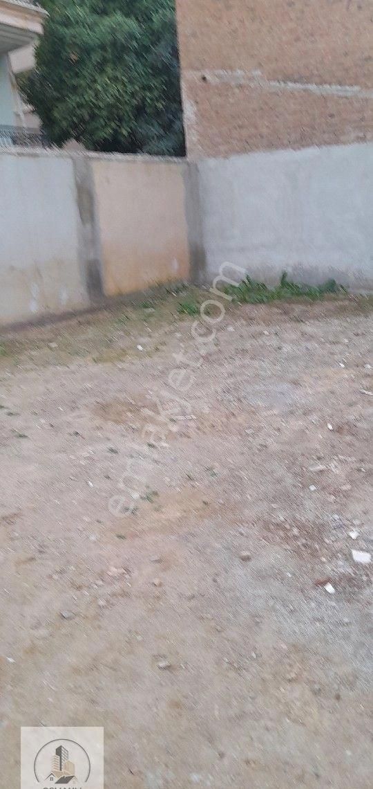 Aydın Girne Mah 2+0 Satılık Daire. - Görsel 6