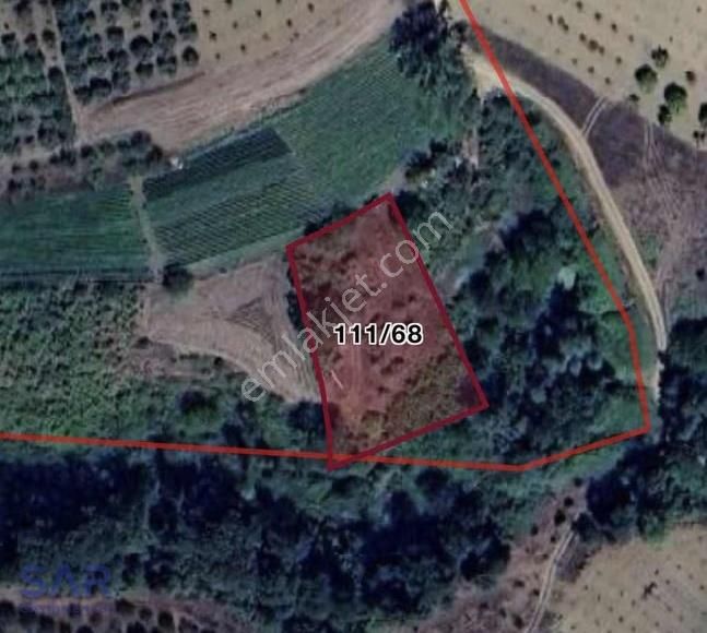 Sakarya Geyve'de Satılık 1.964 M² Fındıklık ! - Görsel 2