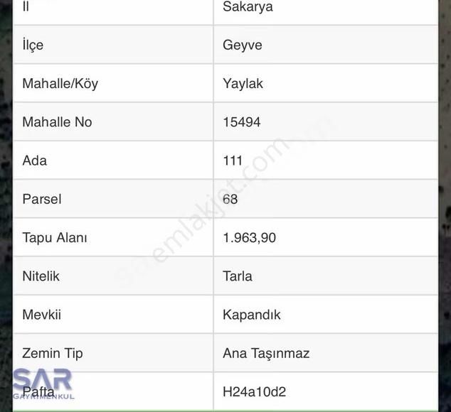 Sakarya Geyve'de Satılık 1.964 M² Fındıklık ! - Görsel 3