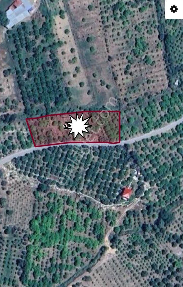 Mersin Erdemli Elvanlı Mahallesinde 2708 Metrekare Müstakil Tapulu Satılık Limon Bahçesi