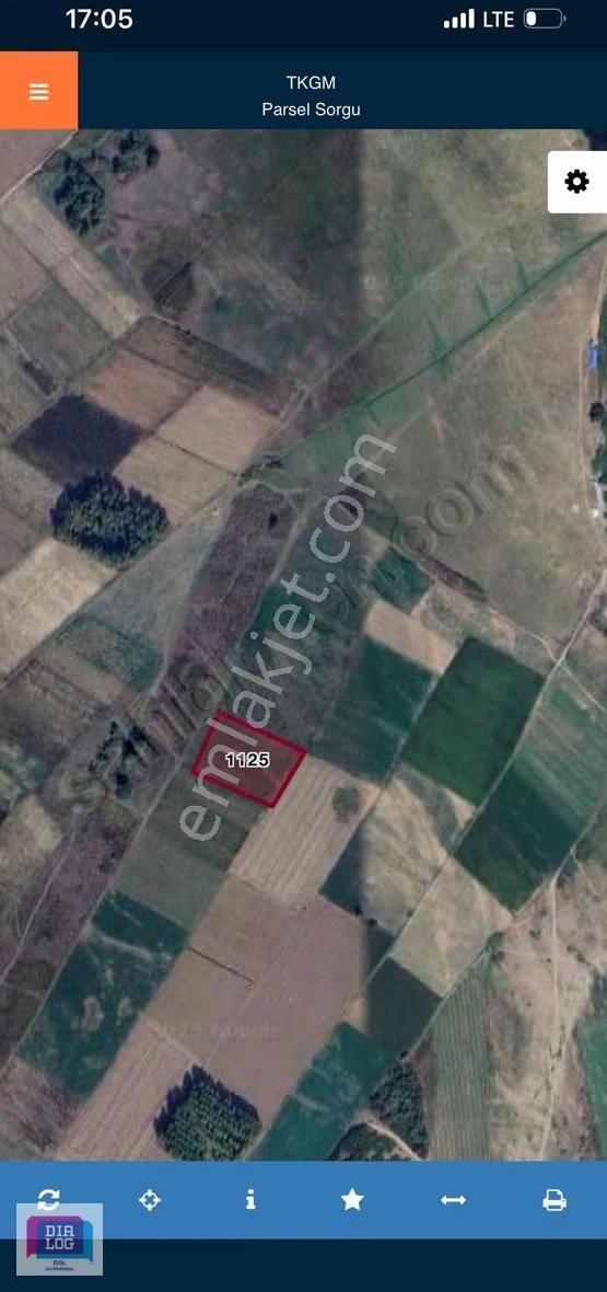 Ayaz Köyde Kaçırılmıcak Fırsat Tarla 8.000 M2 - Görsel 3