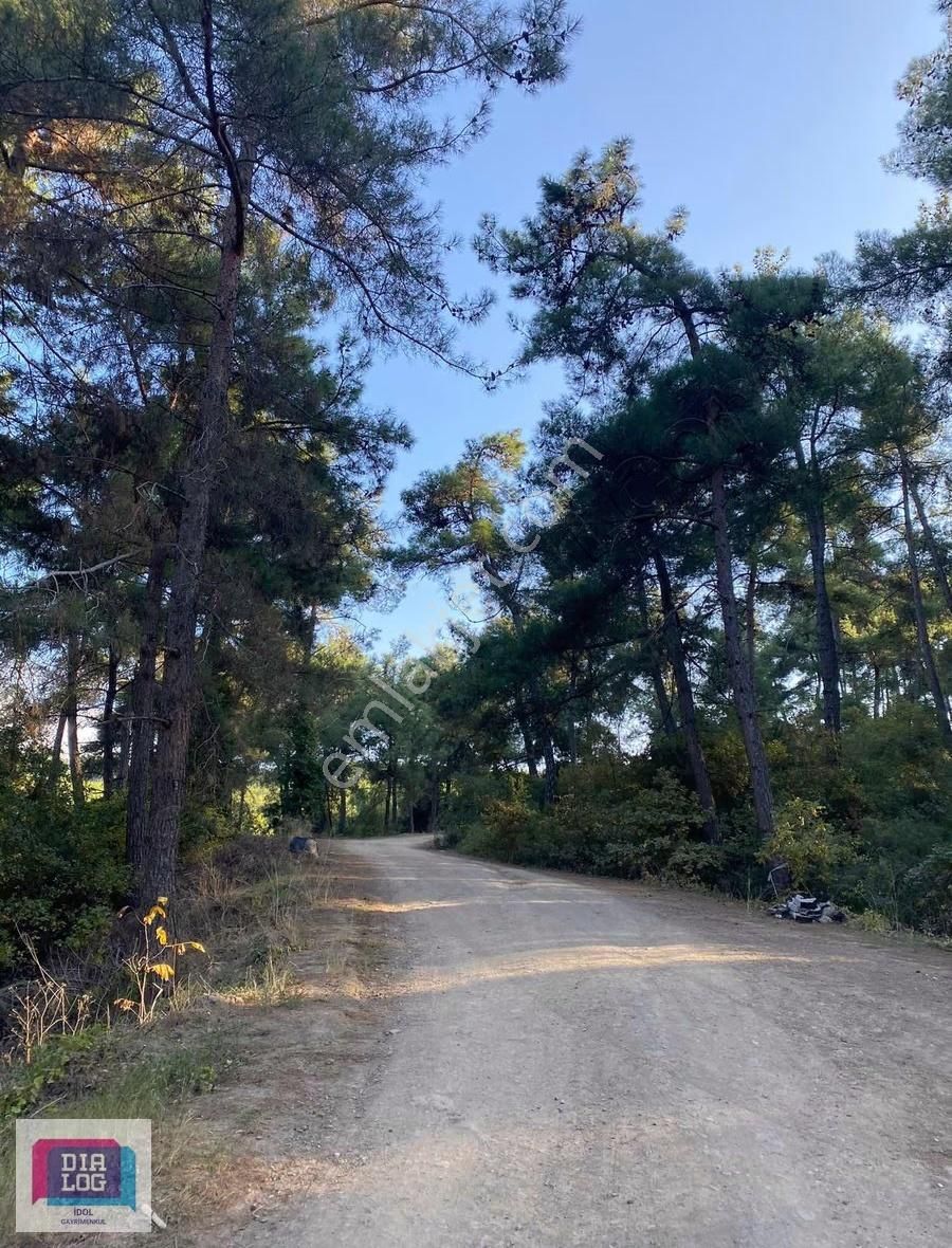 Mudanya Çepni De Satılık 1.378 M2 Satılık Tarla - Görsel 3