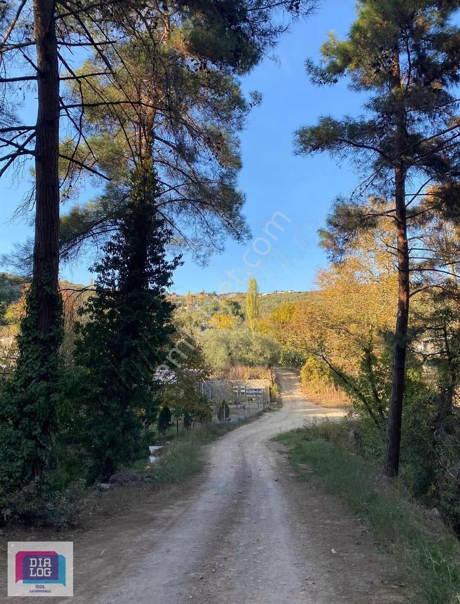 Mudanya Çepni De Satılık 1.378 M2 Satılık Tarla