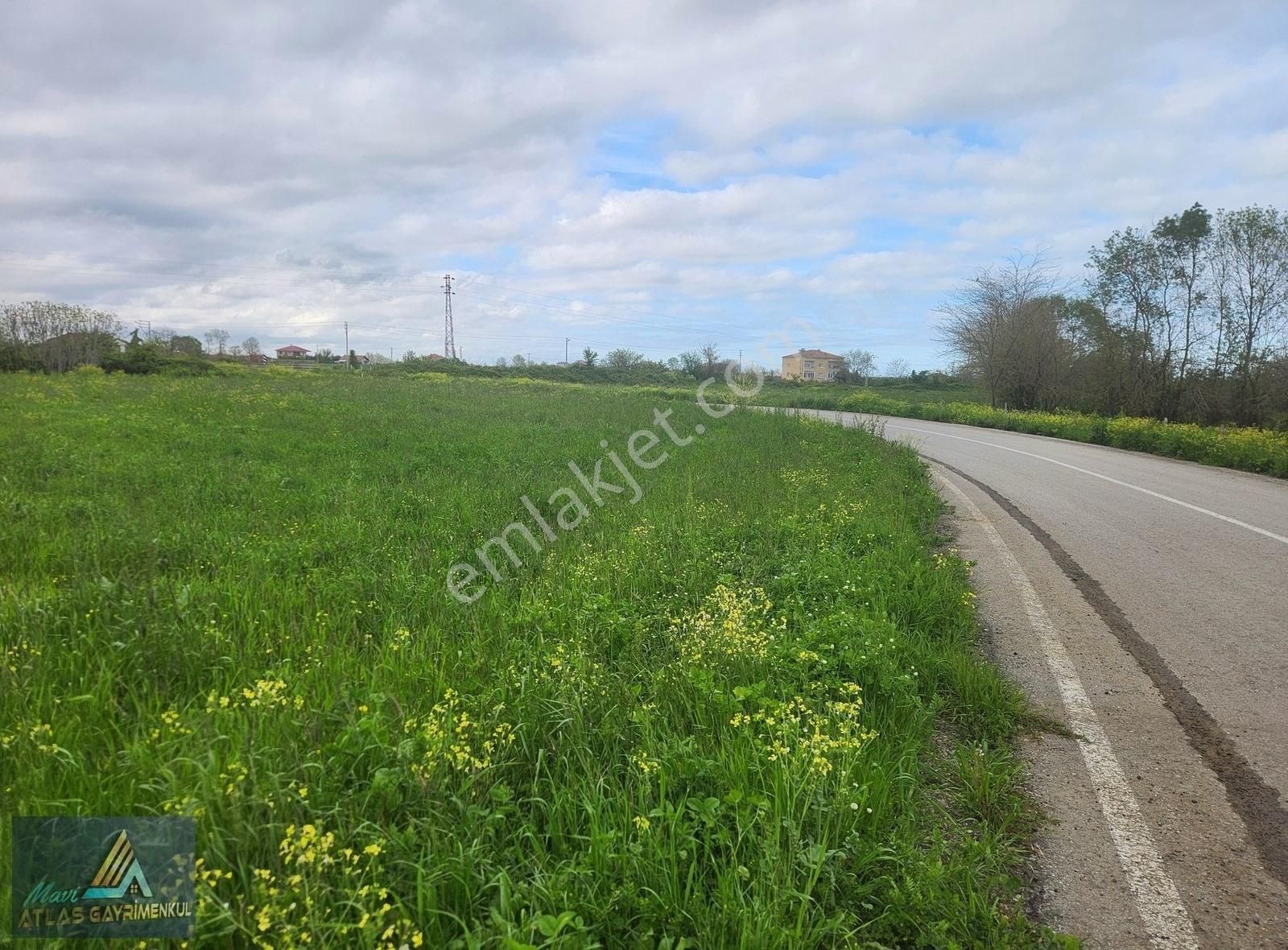 Mavi Atlas'tan 19 Mayıs Beylik'te Yola Cephe Satılık Tarla