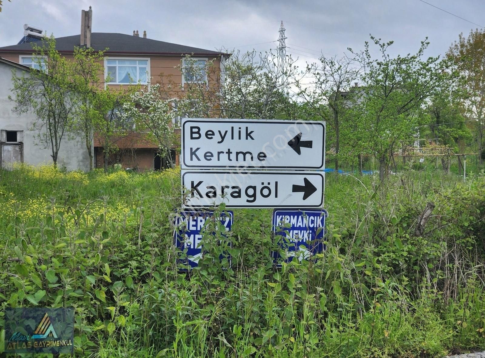 Mavi Atlas'tan 19 Mayıs Beylik'te Yola Cephe Satılık Tarla - Görsel 7