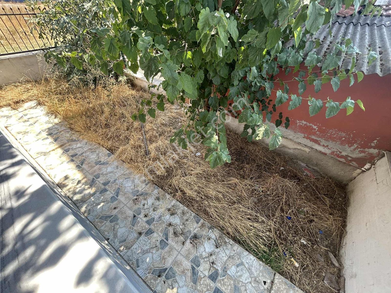 Menyap'tan Cadde Cepheli 4+1 Bahçeli Müstakil Villa - Görsel 13