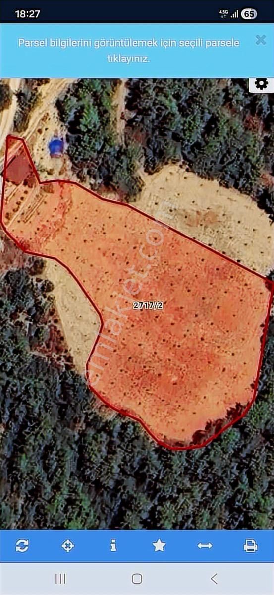 Karaisalı Körüklü'de Tek Tapu, Yol Kenarı, 5150m² Göle Çok Yakın - Görsel 2