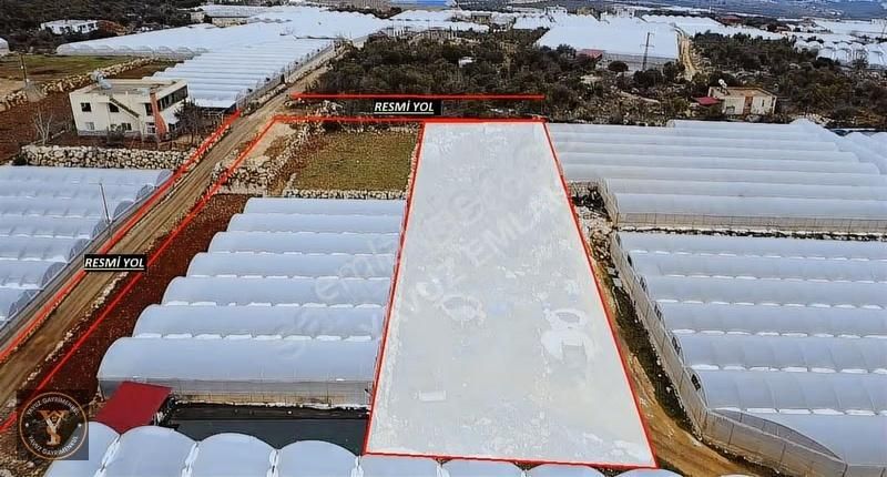 Erdemli Kayacı 1550 M2 Tek Tapu Satılık - Görsel 4