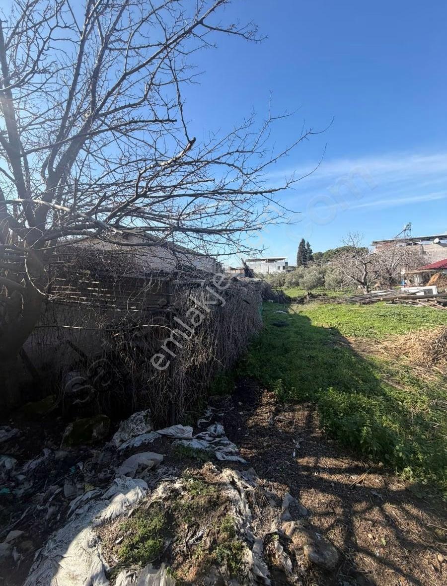Manisa Ahmetli Kestelli Mahallesi 525m² Arsa Satılık - Görsel 6