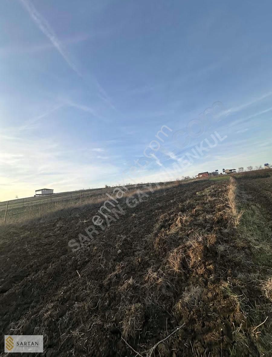 Güngören'de Köye Yürüme Mesafesinde Satılık Kelepir Tarla