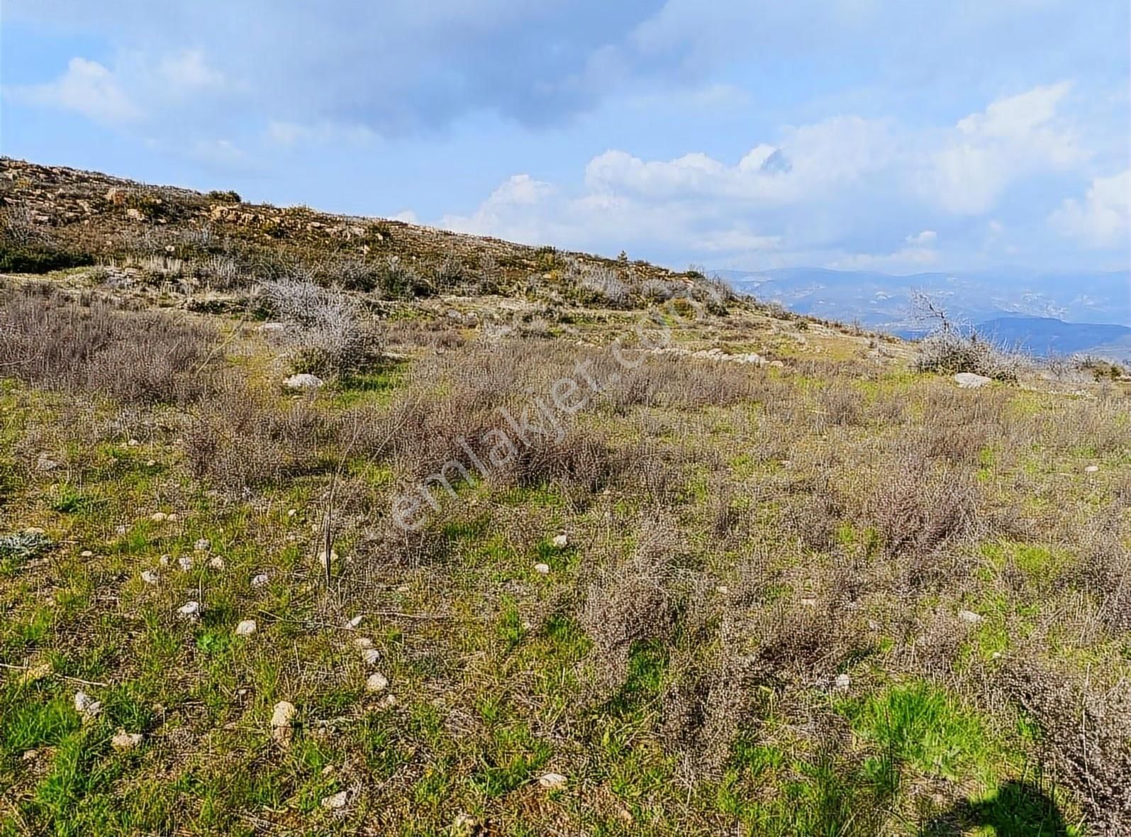 Yıldırım Mühendislik'ten Ören Gürceğiz Mah."6.521 M2" Tarla - Görsel 2